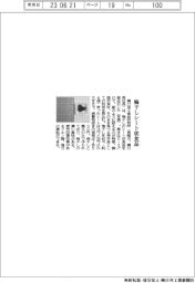 橋口加工食品研、梅干しのシート状食品