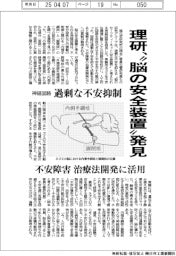 理研、“脳の安全装置”発見　神経回路が過剰な不安抑制