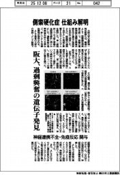 阪大、側索硬化症の仕組み解明　過剰興奮の遺伝子発見　神経連携不全・免疫反応関与