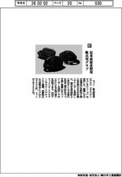 ゼット／北米産原皮使用　軟式用グラブ