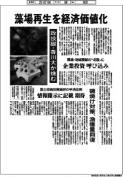 藻場再生の経済価値化　政投銀・香川大が挑む