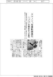 クマノミ、皮膚粘液進化でイソギンチャクと共生　沖縄科技大が解明