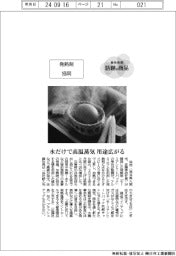 個性発信・話題の商品／協同　発熱剤