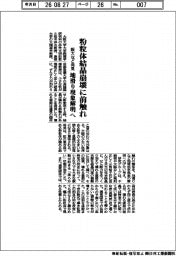 阪大など粉粒体結晶崩壊前触れ発見　地滑り現象の解明へ