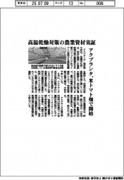 アクプランタ、高温乾燥対策の農業資材実証　米トマト畑で開始