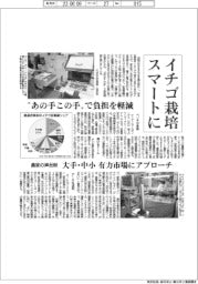 イチゴ栽培スマートに　あの手この手で負担を軽減
