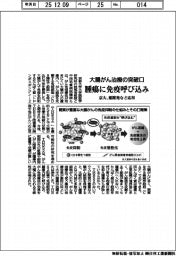 京大、大腸がん腫瘍に免疫呼び込み 薬開発など応用