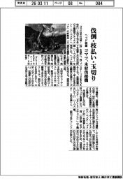 コマツ、木材伐採機　伐倒・枝払い・玉切りヘッド装着