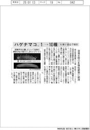 ハゲナマコ、１→１０種　科博が遺伝子解析