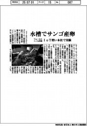 フォーカスとイノカ、水槽でサンゴの産卵に成功　ＩｏＴ使い本社で実験