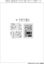 ぺんてる/布に絵や文字描ける にじみにくい絵の具