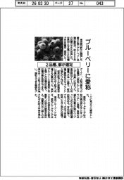 ブルーベリーに愛称、都が２品種選定