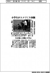 宝酒造、小学生がコメづくり体験　「田んぼの学校」　生き物との関わり学ぶ
