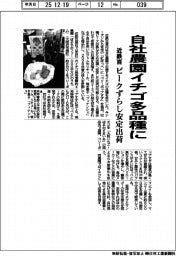 近鉄百、自社農園イチゴ多品種に　ピークずらし安定出荷