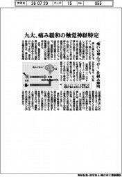 九大、痛み緩和の触覚神経を特定　「痛いの飛んでけ～」仕組み解明