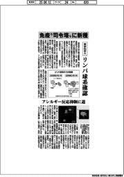 東京科学大、免疫“司令塔”に新種　リンパ球系を確認