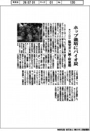 キリンＨＤ、ホップ栽培にバイオ炭　温室ガス減・収量増