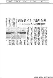 パワーエックスとJAL 高品質イチゴ通年生産