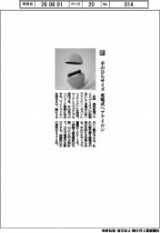 多田／手のひらサイズ　充電式ヘアアイロン