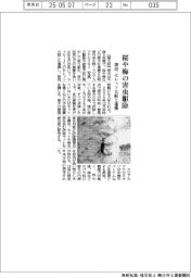 堺市　桜や梅の害虫駆除、セレッソ大阪と連携