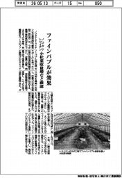 ノリタケとトクイテン、ファインバブルが効果 小松菜収量増など確認