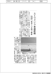 みずほフＦＧ・富士通など、AIでクジラ来遊把握　東京・八丈島で検証