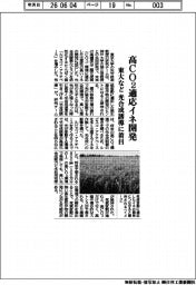 東大など、高ＣＯ２適応イネ開発　光合成誘導に着目