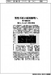 阪大、男性不妊の原因解明へ　精子運動制御たんぱく質を発見