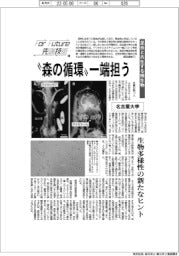 For Future 先端技術（86） 名古屋大学　昆虫と共生する微生物