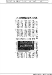 バイオ発電の排ガス利用　住友大阪セメ、少花粉スギ育苗