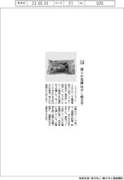 ファミリーマート/滑らか食感 冷やし焼き芋