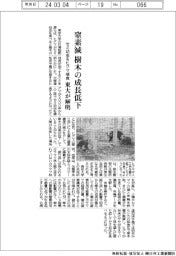 セミ幼虫をヒグマ捕食、窒素減で樹木の成長低下 東大が解明