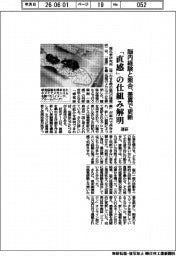 脳内経験と照合、差異で更新　理研、「直感」の仕組み解明