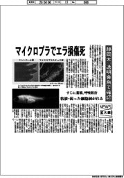 ニュース拡大鏡/静岡大、マイクロプラでエラ損傷死 透明金魚で確認