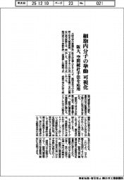 阪大、細胞内分子の挙動を可視化　空間統計手法を応用