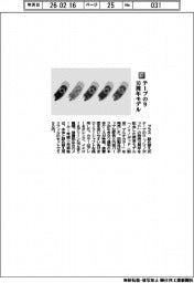 プラス/テープのり 10周年モデル