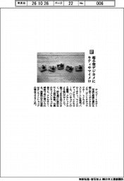 ケンコー・トキナー／超小型デジカメにキティやマイメロ