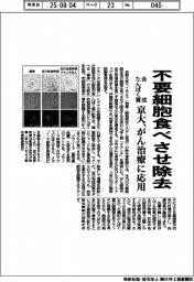 京大、合成たんぱく質開発　不要細胞食べさせ除去　がん治療に応用