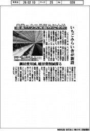 農業ハウス骨組みに木材　いちごみらいが新設