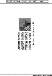 おやつカンパニー／ベビースター「丸」　しおコーン味