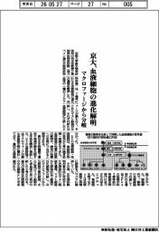 京大、血液細胞の進化解明　マクロファージから分岐