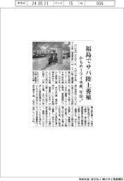 かもめミライ水産、福島でサバ陸上養殖 年60トン