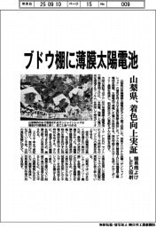 山梨県、ブドウ棚に薄膜太陽電池　着色向上実証、簡易雨よけＬＥＤ照射