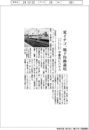 ファーマーズ・フォレストなど、地下冷熱で夏イチゴ栽培 宇都宮にハウス