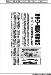 京大、腫瘍内Ｔ細胞の疲弊解明　がん免疫療法に応用