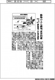 京大など、植物種子が動物のふん感知で食害回避発見　発芽時期を調節