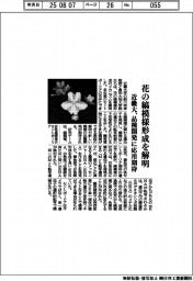 近畿大、花の縞模様形成を解明　品種開発に応用期待