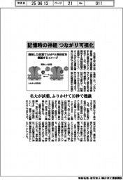 名大、記憶時の神経のつながり可視化　ふりかけるだけの試薬開発、１０秒で標識