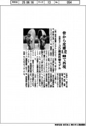 日南など　骨から皮膚０・０２ミリメートルで再現　３D顔面医療モデル