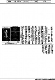 名大など、量子ドット 低毒性で強く発光　がん転移追跡